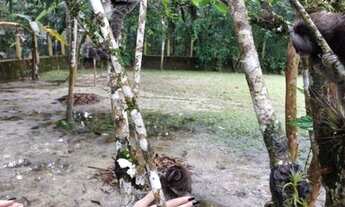 Imagem 7: ITANHAÉM - Chácara - Jardim São Fernando