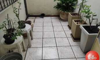 Imagem 7: São Paulo - Casa Padrão - Tatuapé