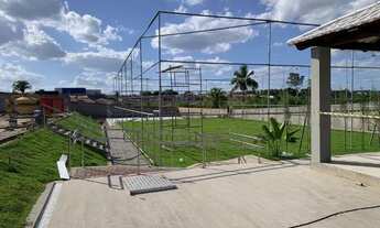 Imagem: Grande Oportunidade em Lote - Portinari