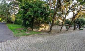 Imagem 3: Porto Alegre - Casa Padrão - Tristeza