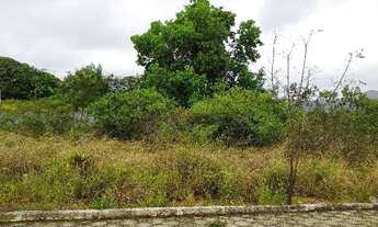 Imagem: GRAO MOGOL - Terreno Padrão
