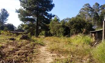 Imagem 3: Barbada!! Chacara Ararica