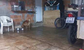 Imagem 3: Vende-se casa Casa com 3 dormitórios