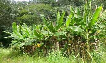 Imagem 6: Sitio 3.100m² com água nos fundos, contendo porteira só entra quem tem chave,Jaboticatubas