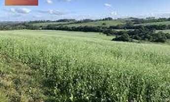 Imagem 5: ÁREA COMERCIAL E RESIDENCIAL 420 MIL MTS NA MELHOR LOCALIZAÇÃO DE CAMPINAS R$27 MILHÕES CA