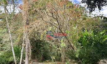 Imagem 4: Oportunidade Interior de São Paulo