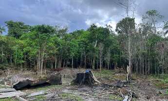 Imagem 5: TERRENO COM IGARAPÉ