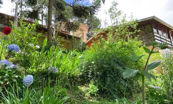 Imagem 5: Venda de Casa em São Paulo