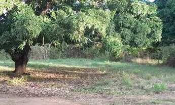 Imagem 5: Terreno plano. Da para fazer 19 lotes