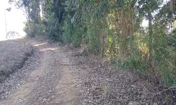 Imagem 5: Chácara pangaré