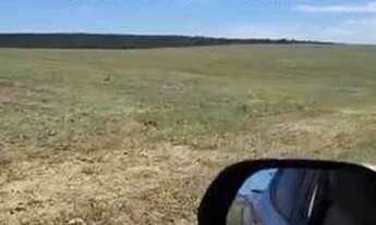 Imagem 3: Fazenda 74 Alqueires Região De Palestina /GO