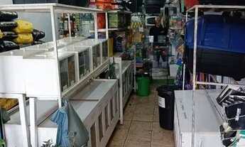 Imagem: Agropecuária