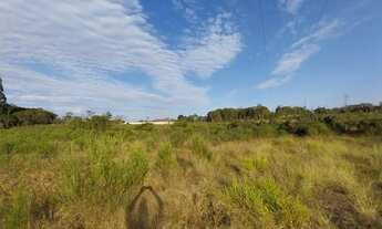 Imagem 7: Chácara em SJP na campina taquaral, 75.000m2 Troca , vende