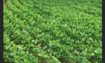 Imagem: Chácara 12.30 alq. Em Adelândia Go. Planta