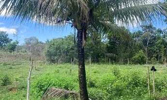 Imagem 7: Fazenda de 115 t, próxima a linha verde, estrada do coco, com casa, curral e rio