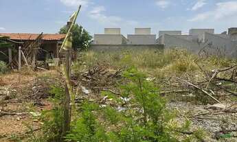 Imagem 2: Lote jd Botânico 250 metros