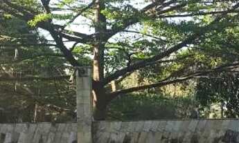 Imagem 3: SITIO S E ESTRELAS TEMPORADA