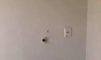 Imagem 6: Alugo direto com proprietário na 1404 sul atrás da católica tratar