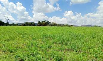 Imagem 7: Terreno módulo rural região florestal