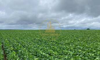 Imagem 6: Fazenda à Venda Unaí/MG 472 ha