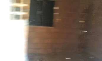 Imagem 7: Fazenda 81 uma hectares e meia valor 420.000