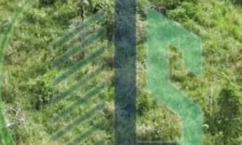 Imagem 5: Vendo Fazenda Fazenda / sítio com venda por R$12.270.000