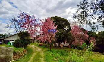 Imagem 2: Terreno a venda em Contenda no Paraná de 100.170m2