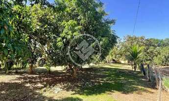 Imagem: Caldas Nova - Chácara de 4522 codigo 138601