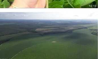 Imagem 2: Fazenda com área verde e irrigação