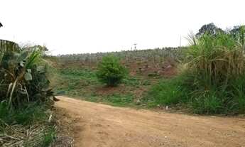 Imagem 7: SÍTIO - MACUCO - SP