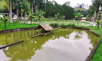 Imagem 2: Sítio em Santa Isabel