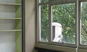 Imagem 2: SALA COMERCIAL em SÃO PAULO - SP, VILA PIRAJUSSARA