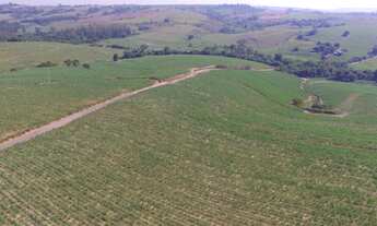 Imagem 5: Fazenda 44 alqueires Cana de Açúcar - Piracicaba SP