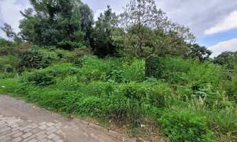 Imagem 4: CAXIAS DO SUL - Terreno Padrão - SALGADO FILHO