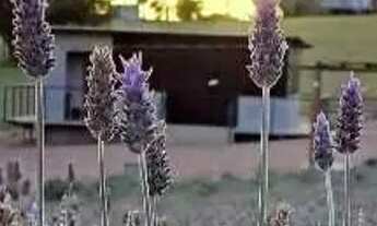 Imagem: Sítio à venda, Águas Claras I (Águas