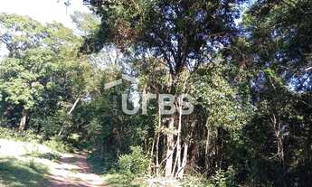 Imagem: Oportunidade de chacará com mata exuberante