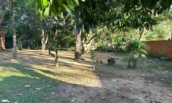 Imagem 7: Vende - se esta chácara