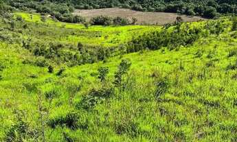 Imagem 4: Imóvel para venda tem 1000 metros quadrados em Terra Preta (Terra Preta) - Mairiporã - SP