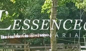 Imagem 4: Chácara com 2 Alqueires | Avelinópolis | Curral