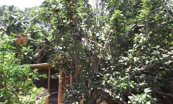 Imagem 5: Sitio maravilhoso a 6,5 km do asfalto, Jaboticatubas (Temos varias opções)