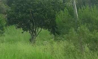 Imagem 5: Chácara em Ararica próximo ao centro da cidade