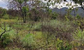 Imagem 4: Vendo fazenda 1.800.000 31alq