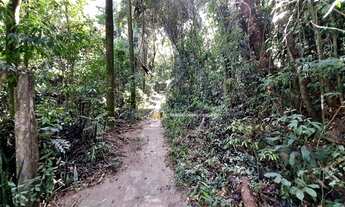 Imagem 3: Sitio, Chacara, com casa e mata nativa 43192 m2 em Valinhos perto da Cidade