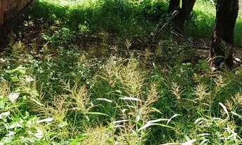 Imagem 2: Bairro de Lourdes!!!!Lote 500 Metros.