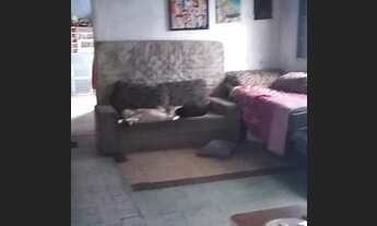 Imagem 3: Casa Térrea para Venda em São Paulo, Vila Ester (Zona Norte), 2 dormitórios, 1 banheiro, 1