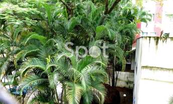 Imagem 7: São Paulo - Apartamento Padrão - Real Parque