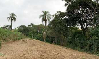 Imagem 2: Fazenda/Sítio/Chácara para venda tem 800 metros quadrados com 3 quartos terreno 11.400 met