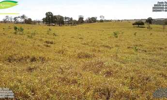 Imagem: Fazenda de dupla aptidão