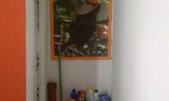 Imagem 4: Casa à venda com 4 dormitórios quintal e garagem