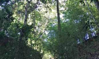 Imagem 4: Casa 110 2 quarto Caconde terreno 26 mil metros com barracão ,90 mt ou 26 mil metros 37